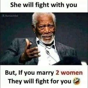 Meet your Posher, Zamir